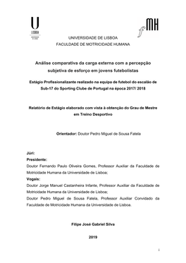 2019 Relatório Estágio Em Treino Desportivo FMH