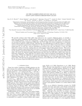 On the Classification of UGC1382 As a Giant Low Surface Brightness Galaxy