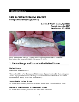 Luciobarbus Graellsii) Ecological Risk Screening Summary