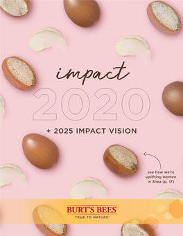 + 2025 Impact Vision