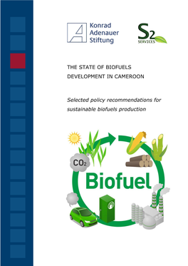 The State of Biofuels Development in Cameroon