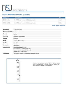 VPS52 Antibody (F54565)