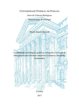 UNIVERSIDADE FEDERAL DO PARANÁ Setor De Ciências Biológicas Departamento De Zoologia