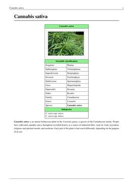 Cannabis Sativa 1 Cannabis Sativa