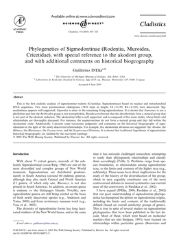 Phylogenetics of Sigmodontinae (Rodentia, Muroidea, Cricetidae), with Special Reference to the Akodont Group, and with Additional Comments on Historical Biogeography