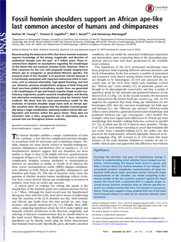 Fossil Hominin Shoulders Support an African Ape-Like Last Common Ancestor of Humans and Chimpanzees