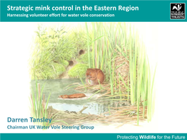 Strategic Mink Control in the Eastern Region Darren Tansley