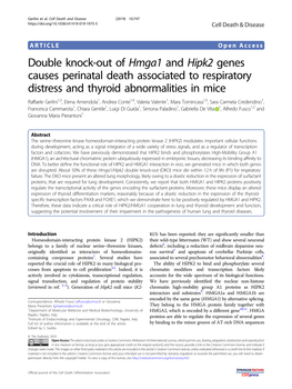 Double Knock-Out of Hmga1 and Hipk2 Genes Causes Perinatal