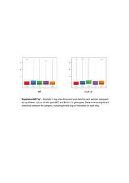 Supplemental Fig.1: Boxplots in Log Scale for Probe Level Data for Each Sample, Represent- Ed by Different Colors, of Wild Type (WT) and Pcdh12-/- Genotypes