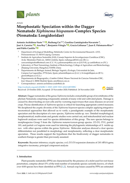 Morphostatic Speciation Within the Dagger Nematode Xiphinema Hispanum-Complex Species (Nematoda: Longidoridae)