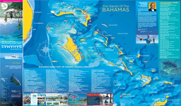Bahamas.Com/Fishing Bahamas.Com/Fishing