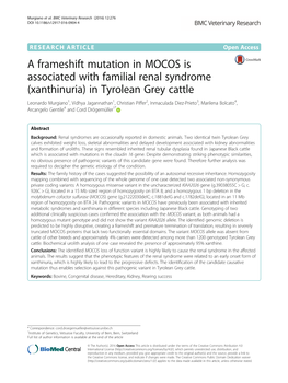 A Frameshift Mutation in MOCOS Is Associated with Familial Renal Syndrome (Xanthinuria) in Tyrolean Grey Cattle