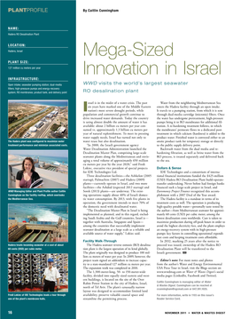 Mega-Sized Innovation in Israel