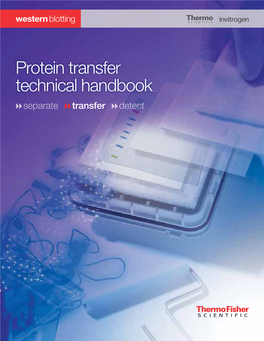 Protein Transfer Technical Handbook Separate Transfer Detect Pre-Transfer Transfer Systems Post-Transfer Protein Transfer Technical Handbook 3