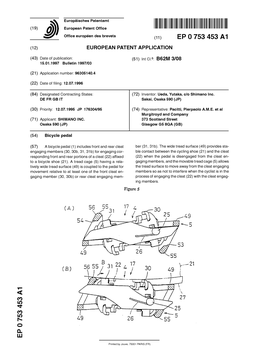 Bicycle Pedal