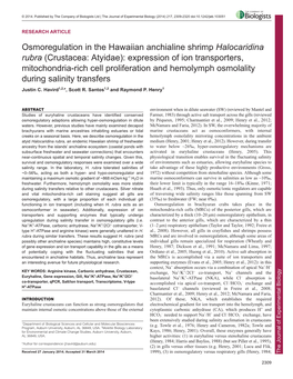 Osmoregulation in the Hawaiian Anchialine Shrimp Halocaridina Rubra