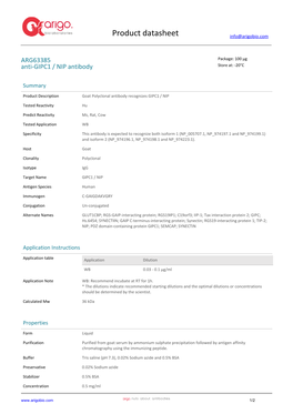 Anti-GIPC1 / NIP Antibody (ARG63385)