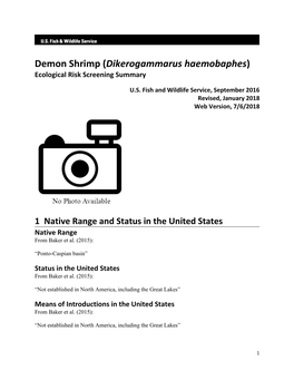 Dikerogammarus Haemobaphes) Ecological Risk Screening Summary