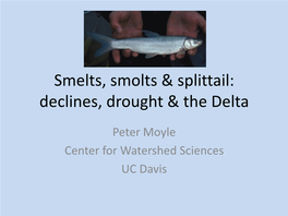 Smelts, Smolts & Splittail