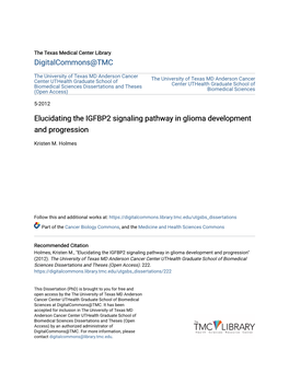 Elucidating the IGFBP2 Signaling Pathway in Glioma Development and Progression