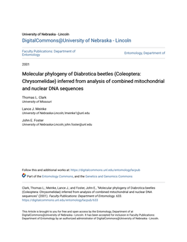Molecular Phylogeny of Diabrotica Beetles (Coleoptera: Chrysomelidae) Inferred from Analysis of Combined Mitochondrial and Nuclear DNA Sequences