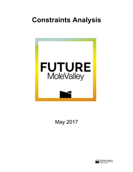 Constraints Analysis