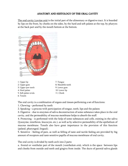 Cavitas Oris) Is the Initial Part of the Alimentary Or Digestive Tract