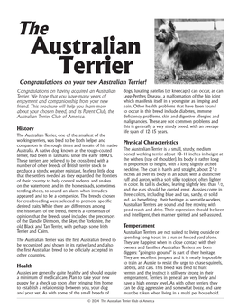 Australian Terrier