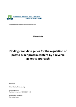 Finding Candidate Genes for the Regulation of Potato Tuber Protein Content by a Reverse Genetics Approach