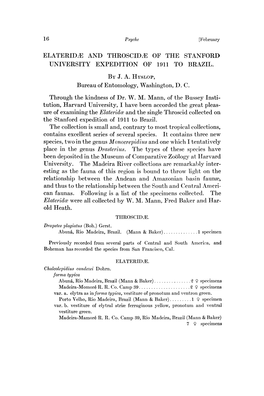 Elateridye and THROSCID2E of the STANFORD UNIVERSITY EXPEDITION of 1911 to BRAZIL