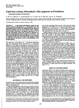 Light-Harvesting Chlorophyll C-Like Pigment in Prochloron (Endosymbiosis/Phylogeny/Prochlorophyta) A