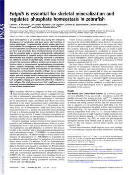 Entpd5 Is Essential for Skeletal Mineralization and Regulates Phosphate Homeostasis in Zebraﬁsh