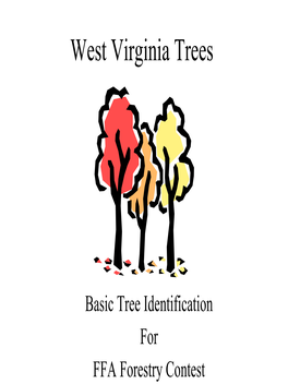 West Virginia Trees