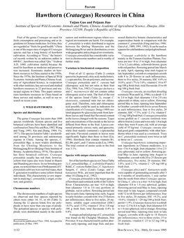 Hawthorne (Crataegus) Resources in China