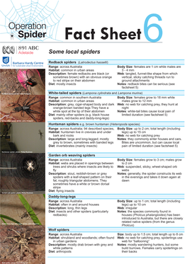 Some Local Australian Spiders • Fact Sheet