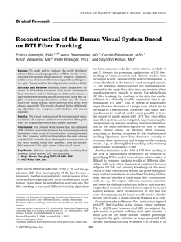 Reconstruction of the Human Visual System Based on DTI Fiber Tracking