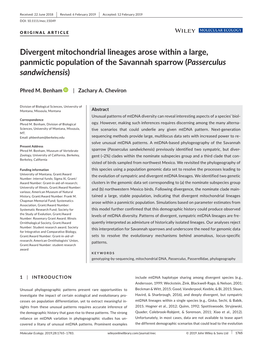 Divergent Mitochondrial Lineages Arose Within a Large, Panmictic Population of the Savannah Sparrow (Passerculus Sandwichensis)