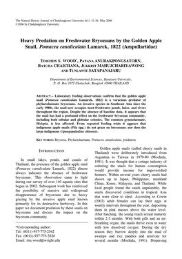 Heavy Predation on Freshwater Bryozoans by the Golden Apple Snail, Pomacea Canaliculata Lamarck, 1822 (Ampullariidae)