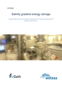 Salinity Gradient Energy Storage