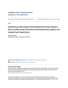 Establishing a Myocardial Ischemia-Reperfusion Injury Model in Mice and Rats Using Left Anterior Descending Artery Ligation and Isolated Heart Experiments