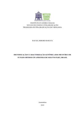 Identificação E Caracterização Genômica Dos Micovírus De Fungos Obtidos Em Amostras De Solo No Pará, Brasil