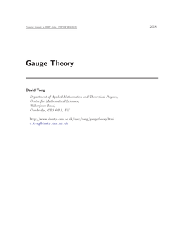 Gauge Theory