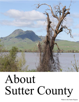 About Sutter County Water in the Sutter Bypass About Sutter County