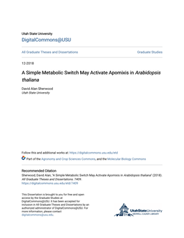 A Simple Metabolic Switch May Activate Apomixis in <I>Arabidopsis