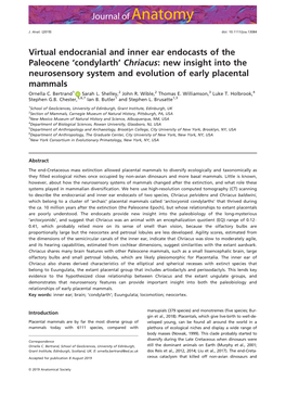 Virtual Endocranial and Inner Ear Endocasts of the Paleocene