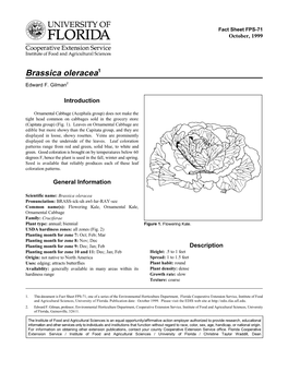 Brassica Oleracea1