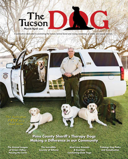 Pima County Sheriff's Therapy Dogs Making a Difference in Our