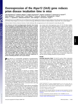 Overexpression of the Hspa13 (Stch) Gene Reduces Prion Disease Incubation Time in Mice