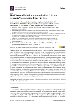 The Effects of Meldonium on the Renal Acute Ischemia/Reperfusion