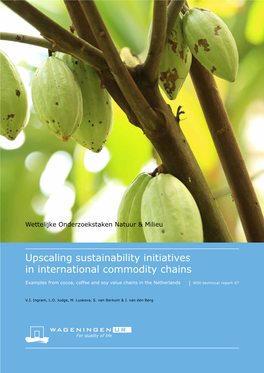 Upscaling Sustainability Initiatives in International Commodity Chains